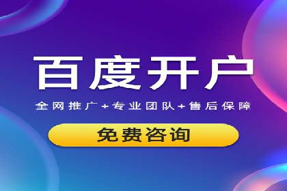 竞价排名在搜索引擎营销中的运用案例